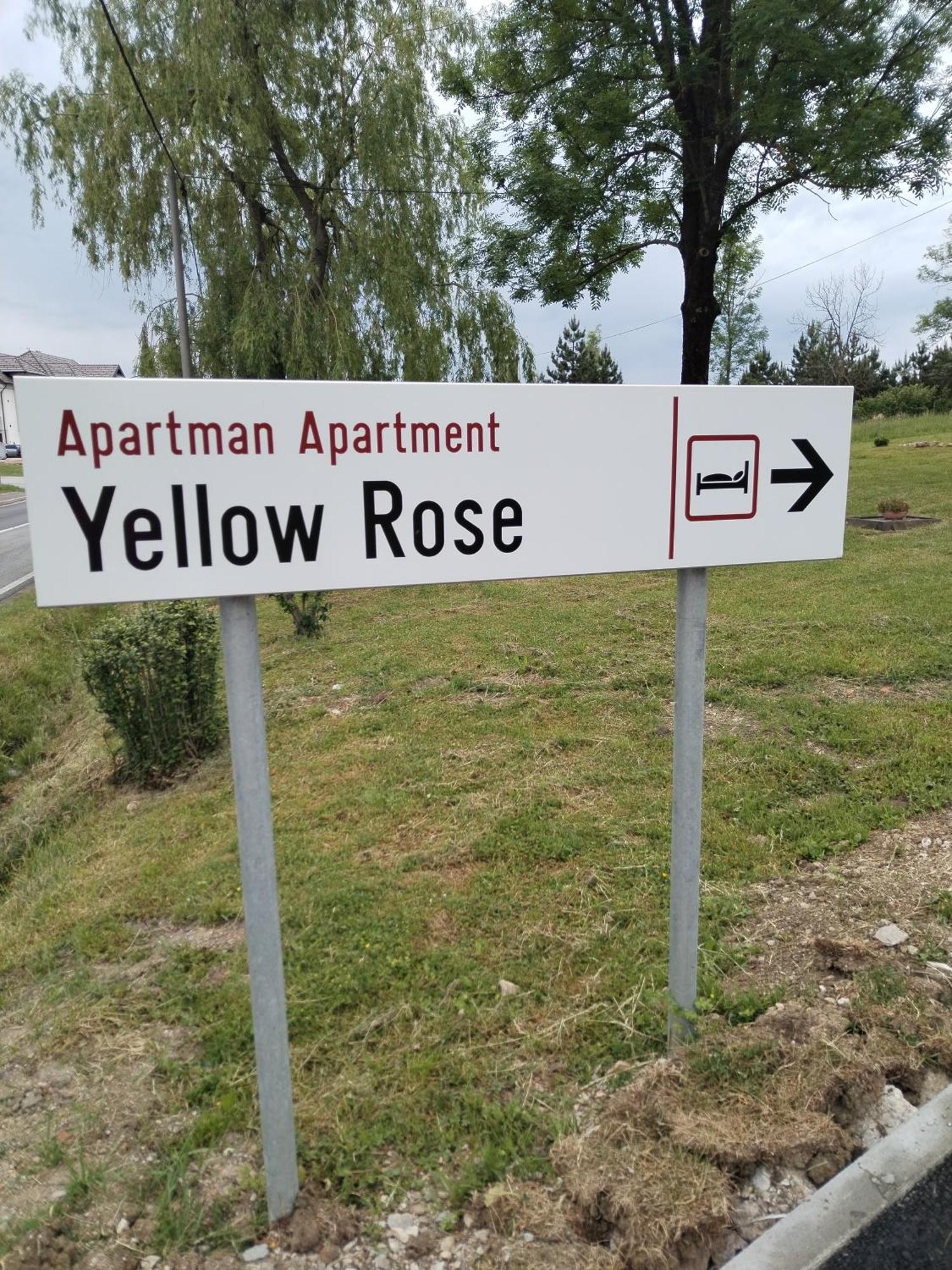 Yellow Rose * Rakovica